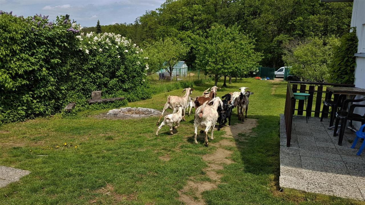 Minifarma Maderovi Popuvky Bagian luar foto